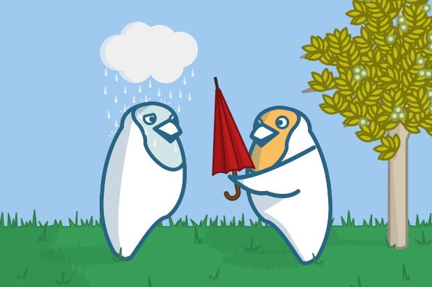 Domi tend un parapluie à une autre personne sur qui un petit nuage fait tomber de la pluie